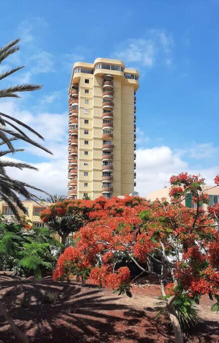 Estudio Coqueto Torres Del Sol أرونا المظهر الخارجي الصورة